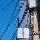 나이스바나나 | 동성로 카페 반월당 카페 삼덕동 카페 찾는다면? 힙한 감성 끝판왕나이스 구스 다녀온 후기 🦢🍌