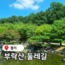 초록길도서관 | 근교 여행 소풍 부락산 문화공원 산림체험장, 평택공원 둘레길 경기도 산행 등산 평택 아이와 가볼만한곳