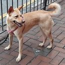 당구생각 이미지