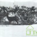 경보사슴 이미지