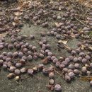 안동여자고등학교 이미지