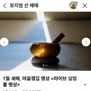 선정농장 | 원주 우들라농장 밸런스 플로우 원데이 클래스 이색 데이트 내돈내산 추천 후기
