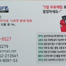 세종로237번길 이미지