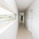 제주더와이 이미지