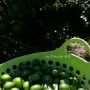 나눔민박 이미지