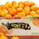 나영농장 이미지