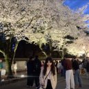 안광목장 | 2026.04.11