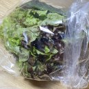 서남시장김주연왕족발 이미지