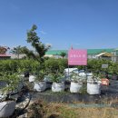 지산농장2 이미지