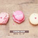 MR.SOON-미스터순 이미지