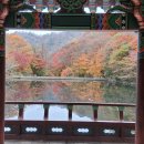 시티원부동산중개 이미지