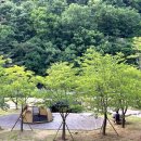 작천정별빛야영장 | 울산 언양 캠핑장 작천정 별빛야영장 이용후기 장단점