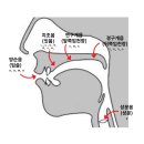 도도소아청소년과의원 이미지
