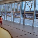 안전나무 맘편한 작은도서관 | 경남 아이와 나들이 힐링공원 나들이 소풍 고성 도서관 책둠병 도서관