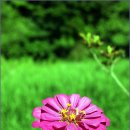 대교경로당 이미지