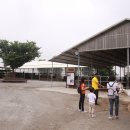 도고목장 이미지