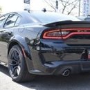 머슬시티 이미지