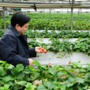 장성푸드 이미지