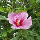 근화농장 이미지