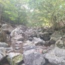 음지마을 | [공지] 20250921영남알프스(청수좌골,숨은재,영축산)지산마을산행