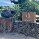 원브런치카페 이미지