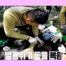 지리산동물병원 이미지