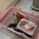 월송캠프 이미지
