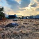 대석리 지석묘군 이미지