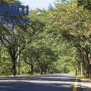 (유)중앙교통 이미지