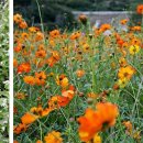 하동레일파크 이미지