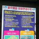 블루웨일 빌리지 | [경남고성] 블루웨일글램핑 내돈내산후기