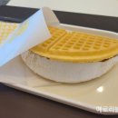 와플대학파주초롱꽃마을캠퍼스