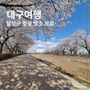 달성군화원읍보건지소 | 2026년 벚꽃 시즌 대구 달성군 벚꽃 명소 모음 9곳