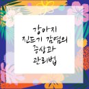 즐거운동물병원 이미지