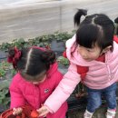 리안농장 이미지