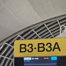 낙낙저수지 | 태국 방콕 코사무이 신혼여행🐘 3일차