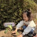 김해유치원 이미지