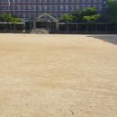 대구남동초등학교 이미지