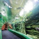 사람과바다 이미지