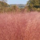 산호빛공원(2) 이미지