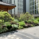 산책길-1 이미지