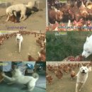 무리개농장 이미지