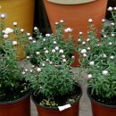 서일여행 이미지