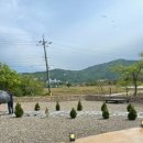 도평커피 | 강원도 속초카페 ‘도평커피’ 후기