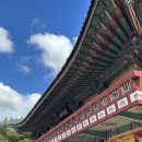(주)나라엘 | 아기랑 | 10개월 아기랑 어린이대공원, 서울상상나라 후기 (아기놀이터 공사)