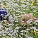 볼빨간 adolescence 이미지