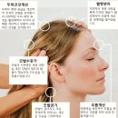 속초아디다스A | 더그레이 12월 파격할인등 이벤트 두피/탈모