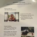 온수기닷컴 | 치앙마이 아이와 함께 타완리버사이드(코끼리호텔) 후기 - 예약, 가는법, 패밀리룸, 모닝콜, 뗏목타기