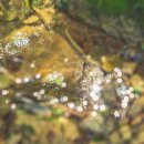 호랑산 둘레길 이미지