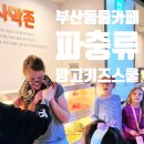 홈플러스 부산반여점 | 부산동물카페 해운대 파충류카페 망고키즈스쿨